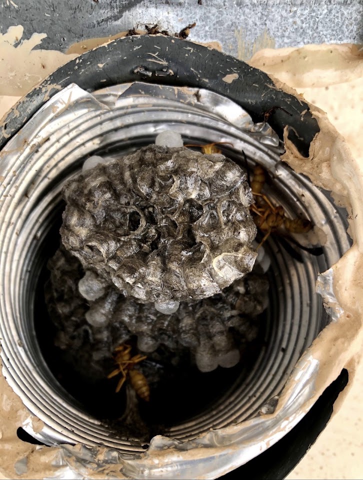 Oncore Pest Services project