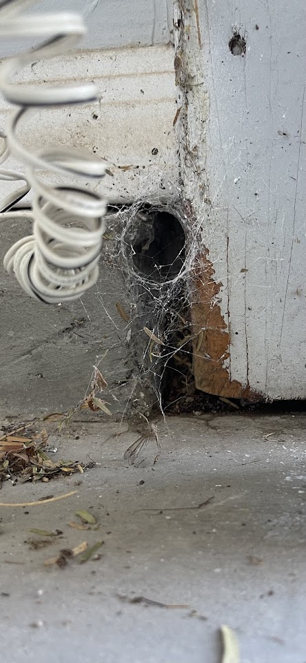 Oncore Pest Services project